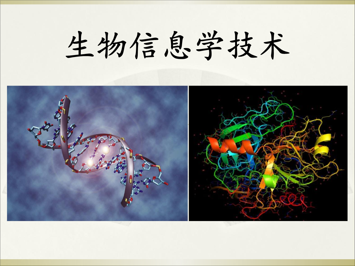 生物技术与生物工程专业剖析_生物技术与生物工程专业剖析题