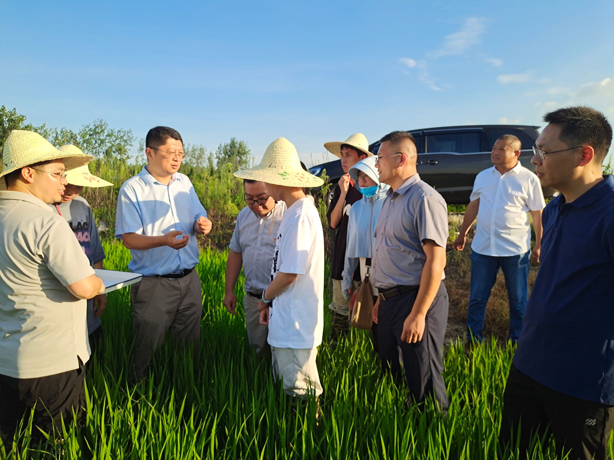 华南农业大学：植物保护的现代技术_华南农业大学的植物保护专业