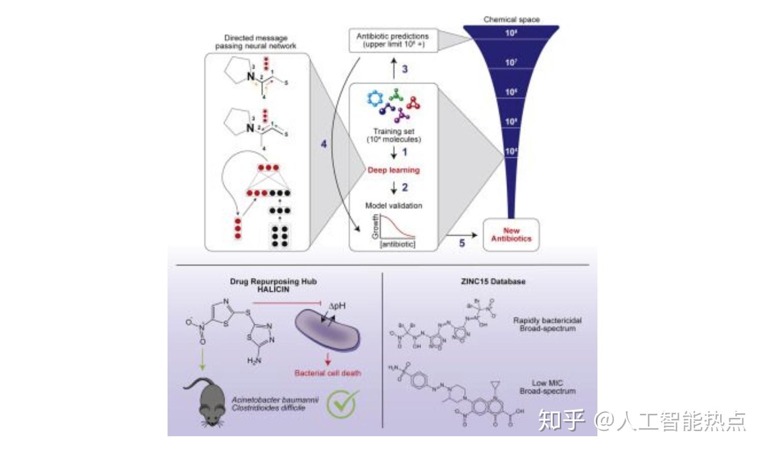 化学信息学在药物设计中的应用_化学信息学的最新发展现状